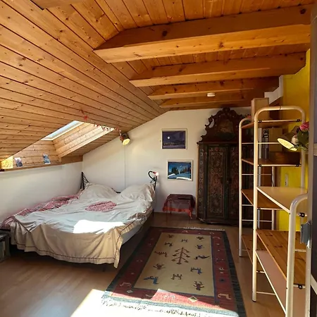 Apartment Gemütliche 2 Mit Balkon Und Bergblick, Hundefreundlich Ruhpolding