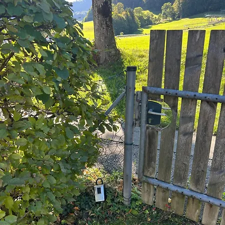 Apartment Gemütliche 2 Mit Balkon Und Bergblick, Hundefreundlich